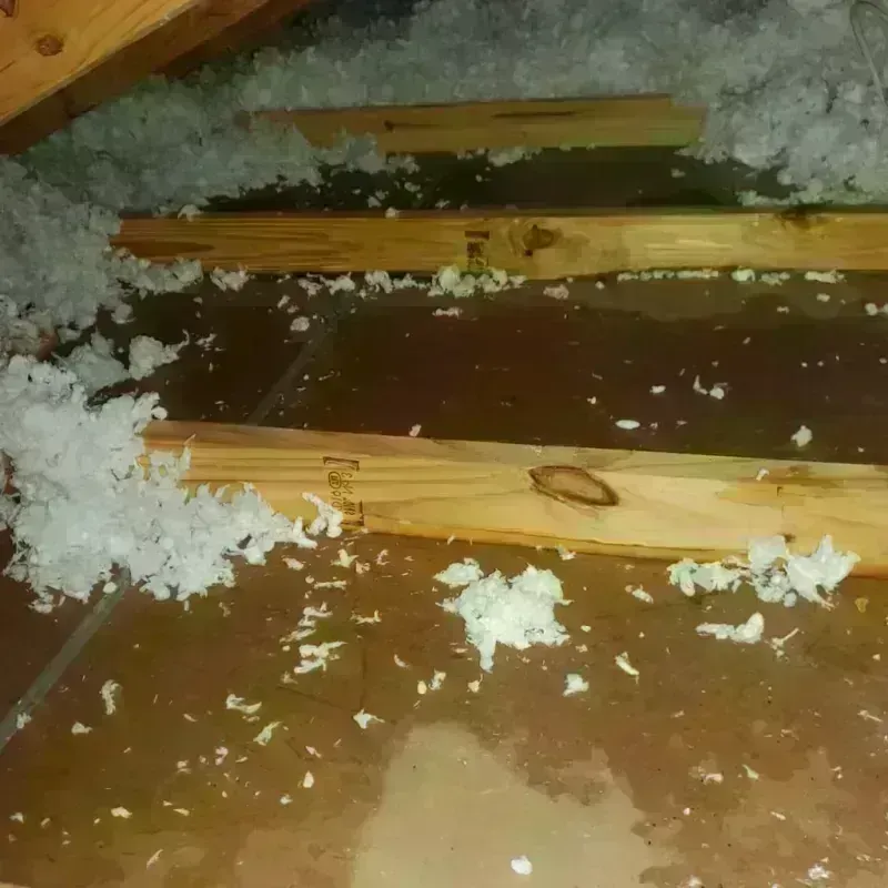 Attic Water Damage in Peoria Heights, IL