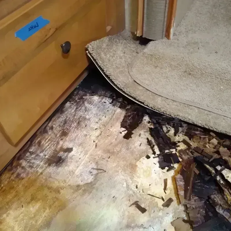 Wood Floor Water Damage in Peoria Heights, IL